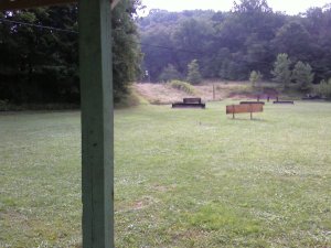 Deer at the range.